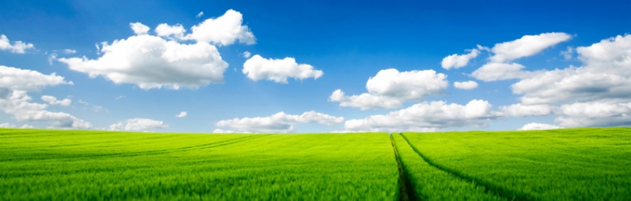 Clouds and Grass